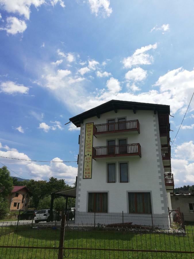 Pensiune Stirbu Borşa エクステリア 写真